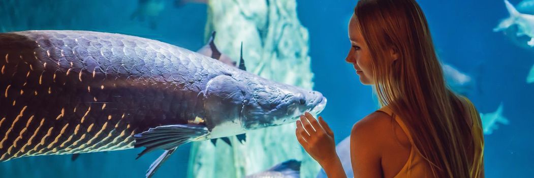 Young woman touches a stingray fish in an oceanarium tunnel. BANNER, LONG FORMAT