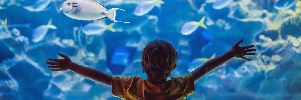 Little boy, kid watching the shoal of fish swimming in oceanarium, children enjoying underwater life in Aquarium. BANNER, LONG FORMAT