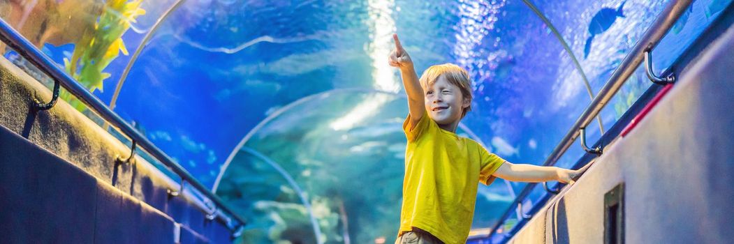aquarium and boy, visit in oceanarium, underwater tunnel and kid, wildlife underwater indoor, nature aquatic, fish, tortoise. BANNER, LONG FORMAT