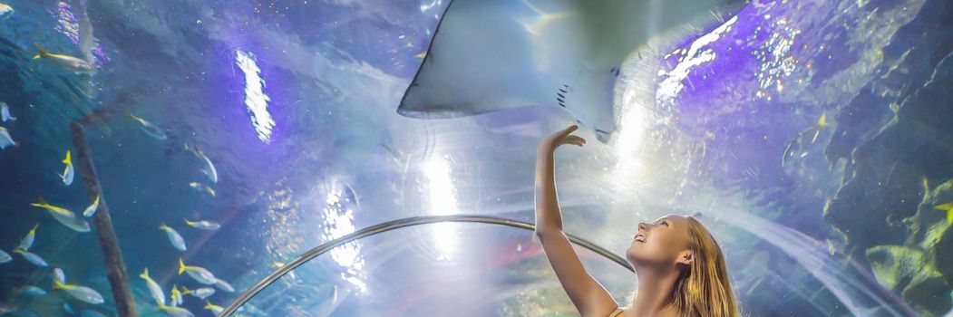 Young woman touches a stingray fish in an oceanarium tunnel. BANNER, LONG FORMAT