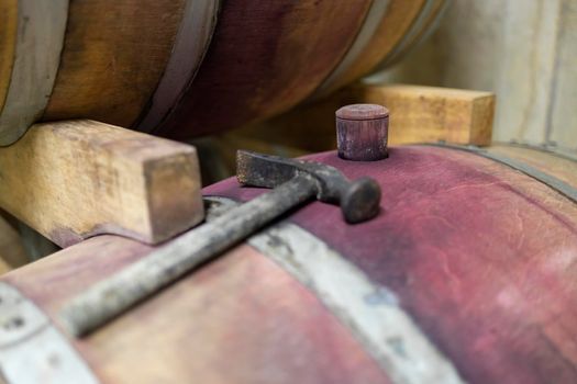 wooden oak barrels in a winery nearby Batorove Kosihy, Slovakia