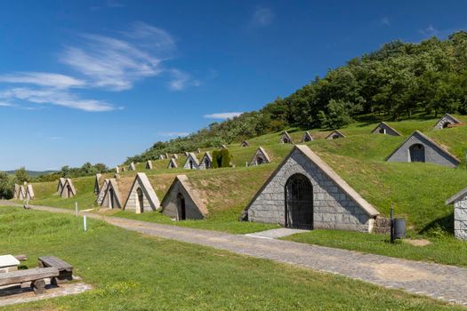 Gombos-hegyi pincesor in Hercegkut, UNESCO site, Great Plain, North Hungary