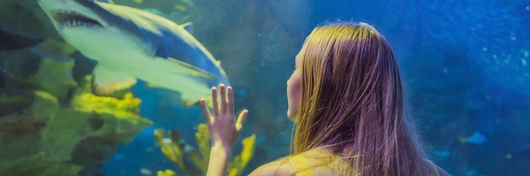 Young woman touches a stingray fish in an oceanarium tunnel. BANNER, LONG FORMAT