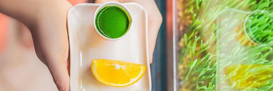 Wheatgrass shot. Juice from wheat grass. Trend of health. wheat grass. BANNER, LONG FORMAT