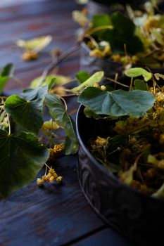 Fresh harvested flowers and leaves of linden tree in vintage metal bowl. Linden flowers have the common use in folk medicine. Low key, selective focus.