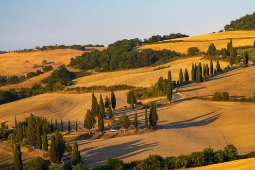 Cipressi di Monticchielo, Typical Tuscan landscape near Montepulciano, Italy