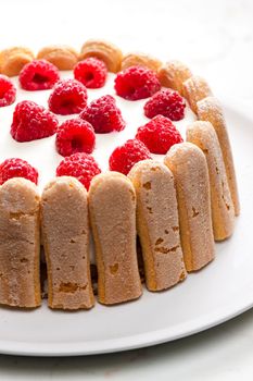 raspberry cream cake with Italian sponge cakes around
