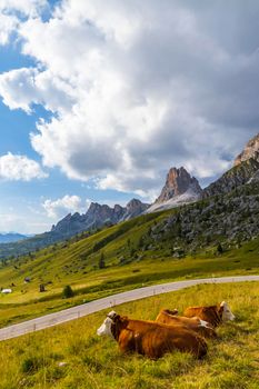 Landscape near Passo Giau in Dolomites, Italy