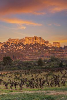 Medieval castle and village, Les Baux-de-Provence, Alpilles mountains, Provence, France