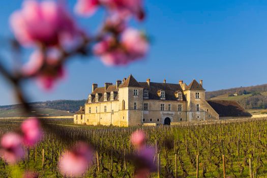 Clos de Vougeot castle, Cote de Nuits, Burgundy, France