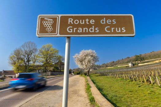 Wine road (Route des Grands Crus) near Beaune, Burgundy, France