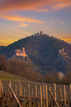 Chateau de Saint-Ulrich ruins, Chateau du Girsberg ruins and Chateau du Haut-Ribeaupierre near Ribeauville, Alsace, France