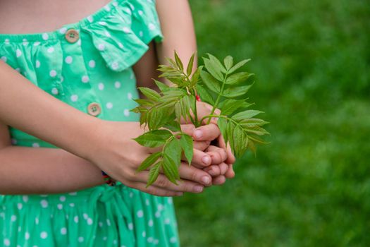 A child plants a plant in the garden. Selective focus.nature