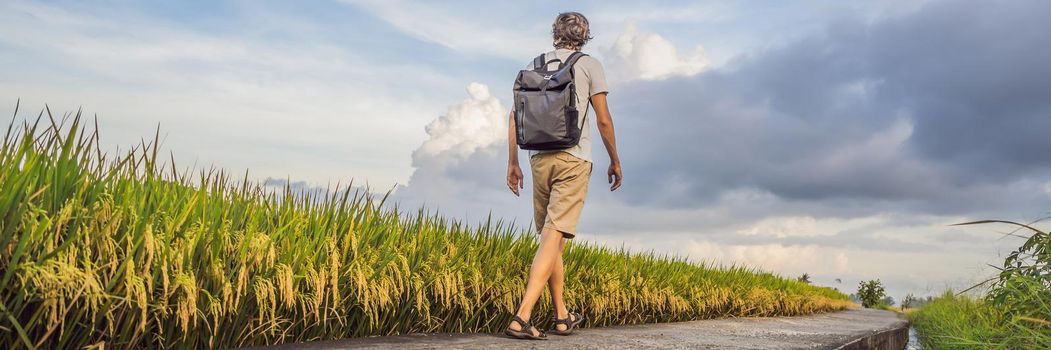 Male tourist with a backpack goes on the rice field. BANNER, LONG FORMAT