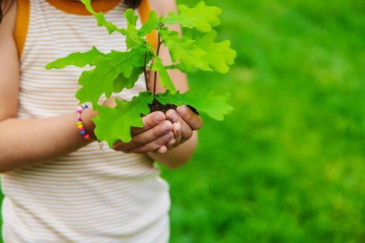 A child plants a plant in the garden. Selective focus.nature