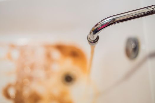 Dirty brown running water falling into a white sink from tap. Environmental pollution concept.