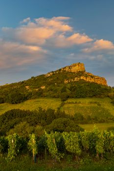 Rock of Solutre with vineyards, Burgundy, Solutre-Pouilly, France