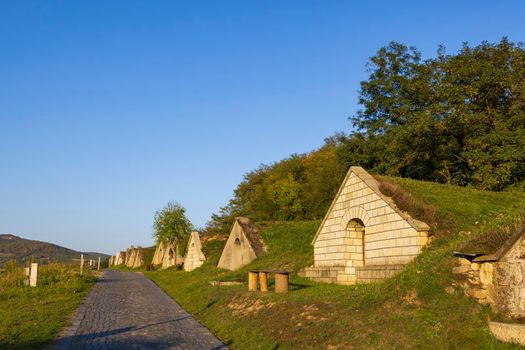Autumnal Gombos-hegyi pincesor in Hercegkut, UNESCO site, Great Plain, North Hungary