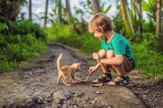 Little boy and little kitten playing outside.