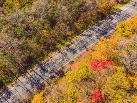 Aerial view of road in beautiful autumn forest at sunset. Beautiful landscape with empty rural road, trees with red and orange leaves. Highway through the park. Top view from flying drone. Nature.