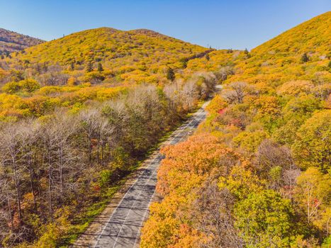 Aerial view of road in beautiful autumn forest at sunset. Beautiful landscape with empty rural road, trees with red and orange leaves. Highway through the park. Top view from flying drone. Nature.