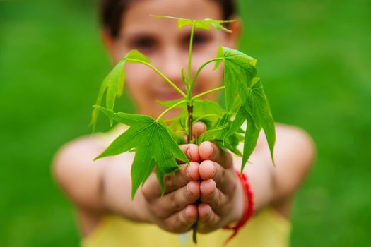 A child plants a plant in the garden. Selective focus.nature