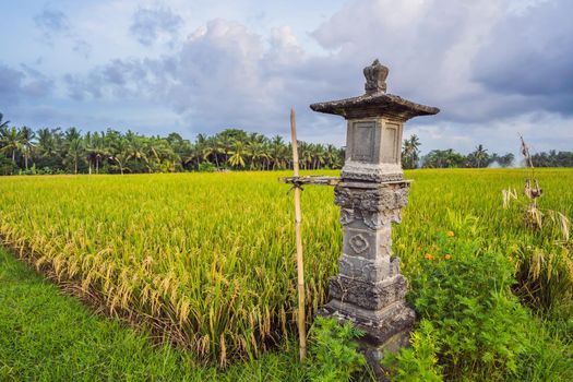 Traditional Balinese house of spirits on rice field, Bali, Indonesia.