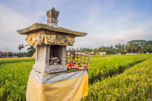 Traditional Balinese house of spirits on rice field, Bali, Indonesia.