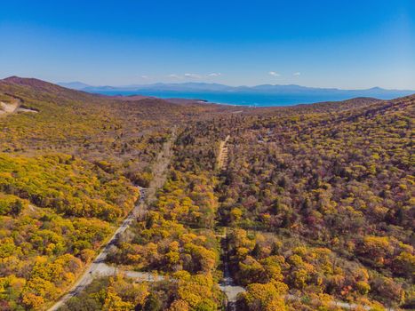 Aerial view of road in beautiful autumn forest at sunset. Beautiful landscape with empty rural road, trees with red and orange leaves. Highway through the park. Top view from flying drone. Nature.