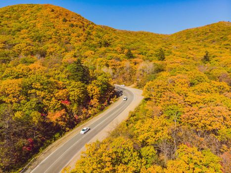 Aerial view of road in beautiful autumn forest at sunset. Beautiful landscape with empty rural road, trees with red and orange leaves. Highway through the park. Top view from flying drone. Nature.