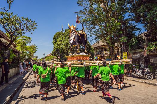 Ubud, Bali, Indonesia - April 22, 2019 : Royal cremation ceremony prepation. Balinese hindus religion procession. Bade and Lembu Black Bull symbol of transportation for the spirit to the heaven.