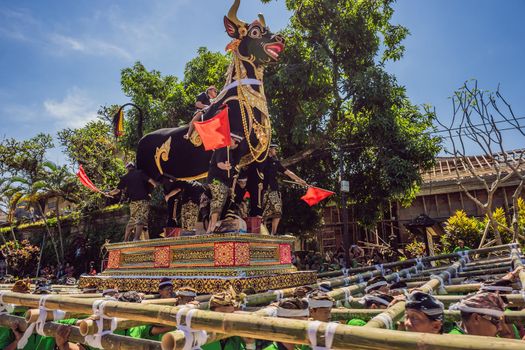 Ubud, Bali, Indonesia - April 22, 2019 : Royal cremation ceremony prepation. Balinese hindus religion procession. Bade and Lembu Black Bull symbol of transportation for the spirit to the heaven.