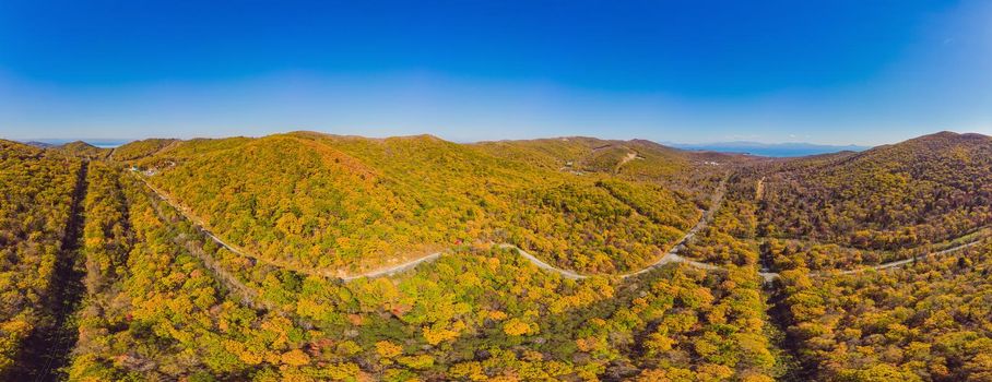 Aerial view of road in beautiful autumn forest at sunset. Beautiful landscape with empty rural road, trees with red and orange leaves. Highway through the park. Top view from flying drone. Nature.