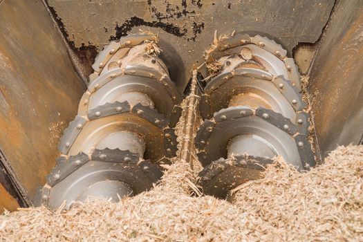 Shaft with knives for grinding hay for animal feed