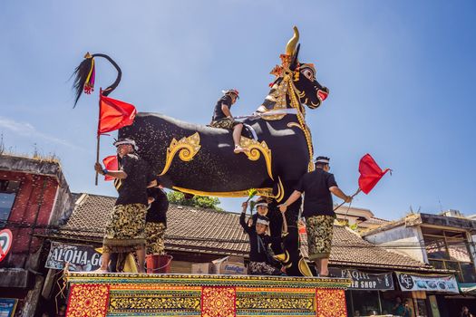 Ubud, Bali, Indonesia - April 22, 2019 : Royal cremation ceremony prepation. Balinese hindus religion procession. Bade and Lembu Black Bull symbol of transportation for the spirit to the heaven.