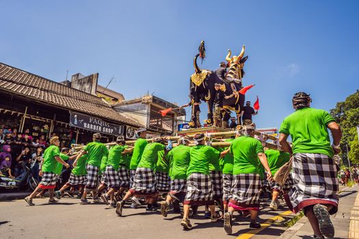 Ubud, Bali, Indonesia - April 22, 2019 : Royal cremation ceremony prepation. Balinese hindus religion procession. Bade and Lembu Black Bull symbol of transportation for the spirit to the heaven.