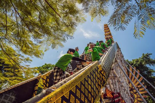 Ubud, Bali, Indonesia - April 22, 2019 : Royal cremation ceremony prepation. Balinese hindus religion procession. Bade and Lembu Black Bull symbol of transportation for the spirit to the heaven.