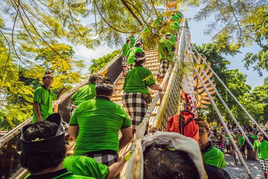 Ubud, Bali, Indonesia - April 22, 2019 : Royal cremation ceremony prepation. Balinese hindus religion procession. Bade and Lembu Black Bull symbol of transportation for the spirit to the heaven.