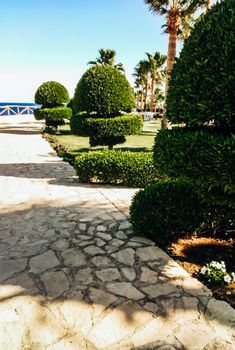 Landscaping. Beautifully trimmed green trees along the sidewalk to the sea. Trimmed green bushes