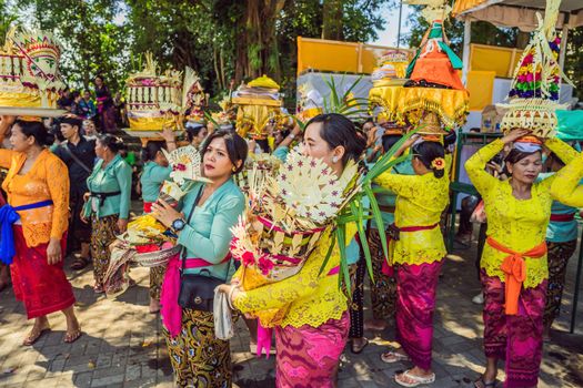 Ubud, Bali, Indonesia - April 22, 2019 : Royal cremation ceremony prepation. Balinese hindus religion procession. Bade and Lembu Black Bull symbol of transportation for the spirit to the heaven.