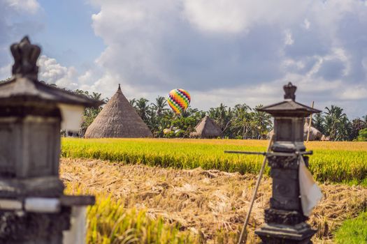 hot air balloon over the green paddy field. Composition of nature and blue sky background.