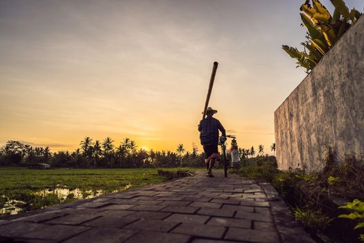 A farmer with a bicycle and bamboo is walking in a rice field.