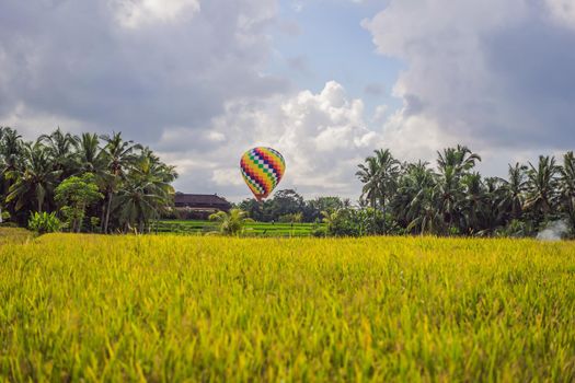 hot air balloon over the green paddy field. Composition of nature and blue sky background.