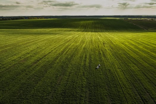 Couple man and woman in a dress go on a meadow. green field from the sky. aerial top view from drone