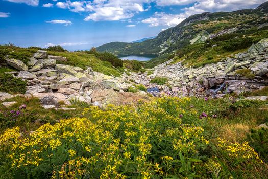 Scenic mountain landscape with yellow flowers in front, a lake, and rocks.Horizontal view