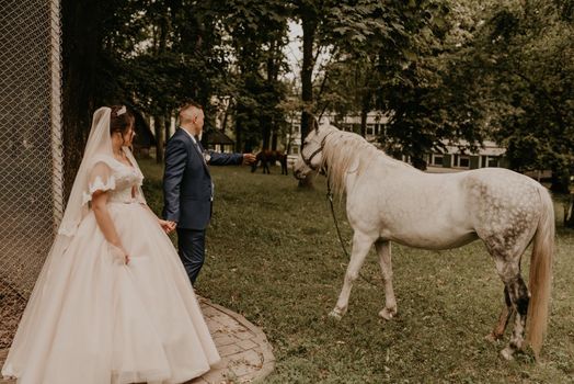 blonde European Caucasian young man groom in blue suit and black-haired woman bride in white wedding dress with long veil and tiara on head. Newlyweds holding hands look and stand near a white horse