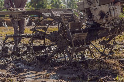 plows machine - Walking Tractor with green rice farm at sunny day.