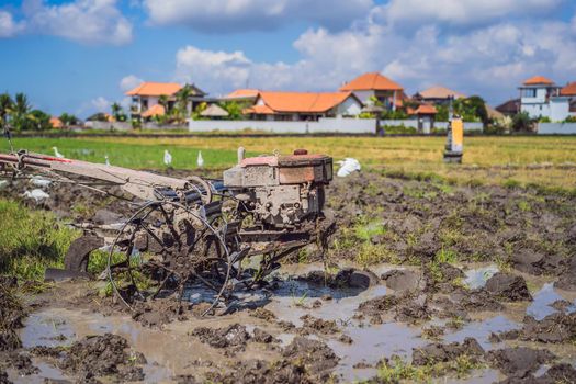 plows machine - Walking Tractor with green rice farm at sunny day.