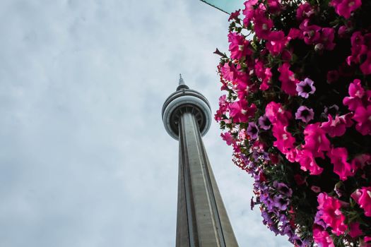 View from above of CN tower and Ripleys aquarium Canada and a blue sky with clouds.