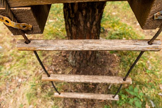 A rope ladder on a tree in a forest park
